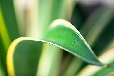 《炸弹人R Online》推出联动《幻想水浒传2》新角色